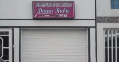 DISTRIBUIDORA DE BELLEZA DIANA RUBIO DISTRIBUIDORA DE BELLEZA DIANA RUBIO